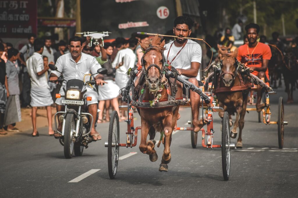 Dynamic street scene of traditional horse racing in Aranthangi, India.
