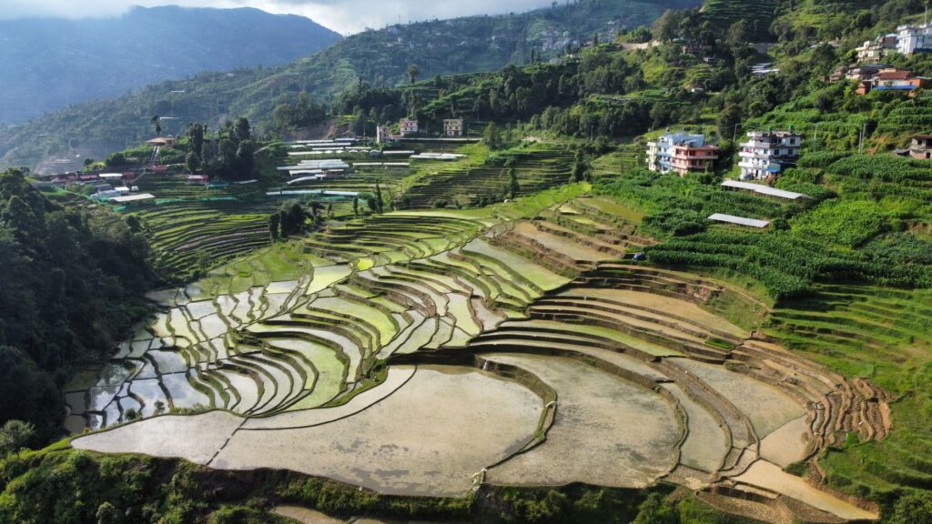 A breathtaking aerial view of lush terraced rice fields in the hills of Nepal.