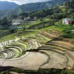 A breathtaking aerial view of lush terraced rice fields in the hills of Nepal.