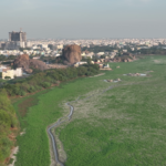 A stunning aerial view of a city landscape with lush greenery and buildings under a clear sky.