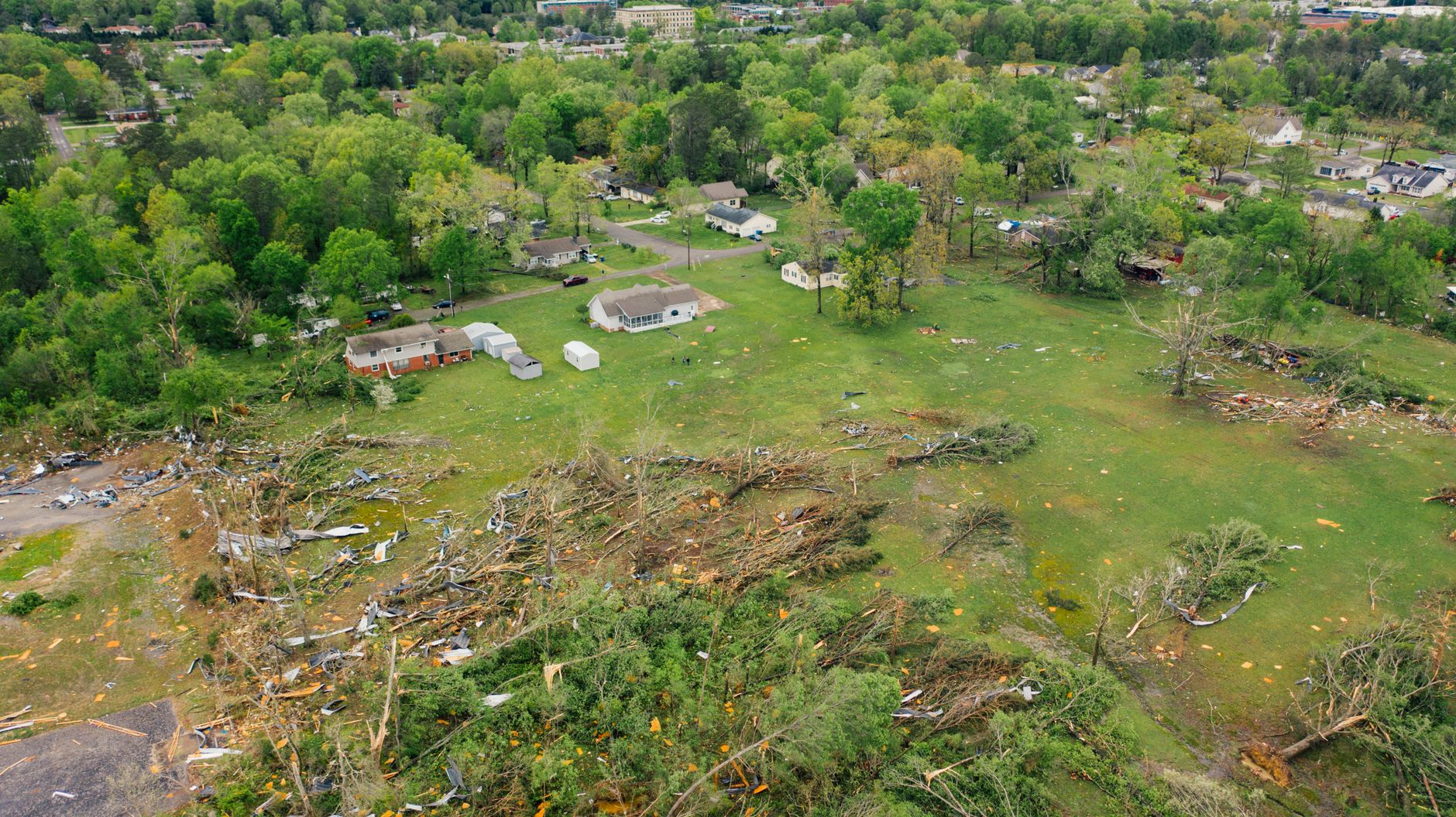Drone view of uprooted trees heaped on green meadow in small village after massive storm