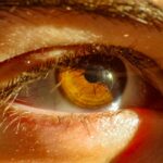 Detailed close-up of a human eye reflecting sunlight with vivid colors.