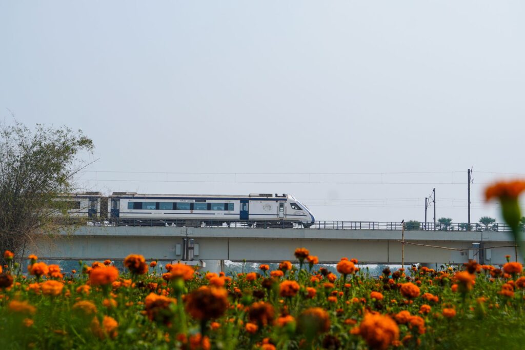 A sleek high-speed train travels across a raised bridge above vibrant orange marigold flowers.