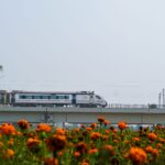 A sleek high-speed train travels across a raised bridge above vibrant orange marigold flowers.